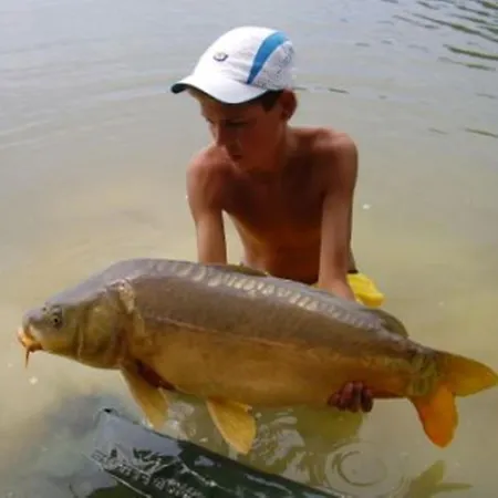 Camping Les Rives Du Lac אתר קמפינג